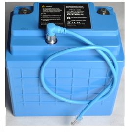 Lithium Iron Phosphate Battery Pack 12V Dengan Perumahan untuk E Kendaraan Dan E Mobil